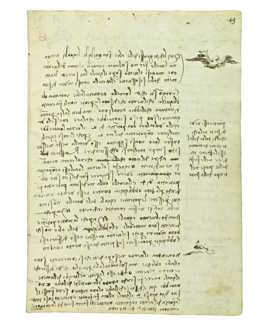 Codice sul volo degli uccelli, Folio 13 recto da Leonardo da Vinci