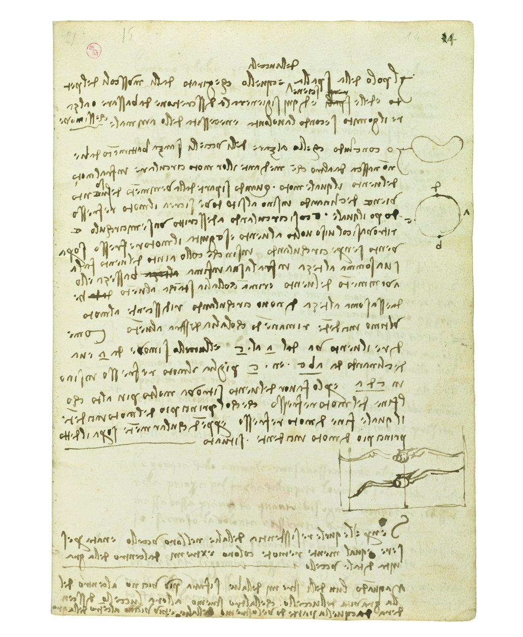 Codice sul volo degli uccelli, Folio 14 recto da Leonardo da Vinci