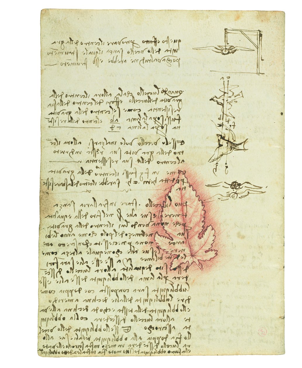 Codice sul volo degli uccelli, Folio 15 verso da Leonardo da Vinci