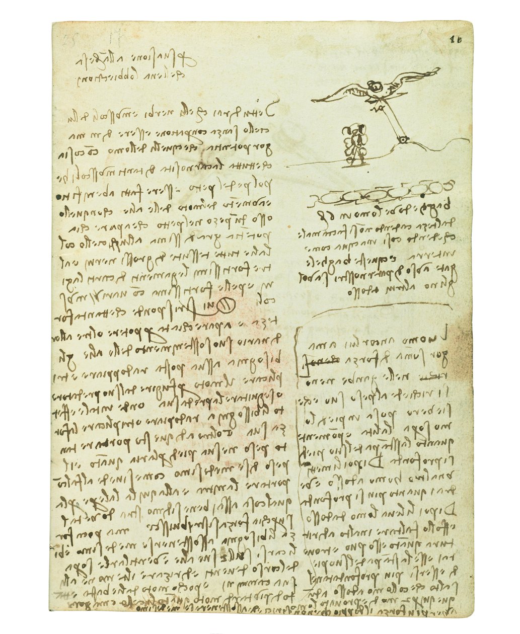Codice sul volo degli uccelli, Folio 16 recto da Leonardo da Vinci