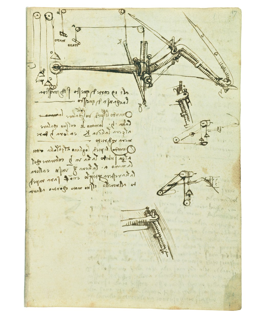 Codice sul volo degli uccelli, Folio 17 recto da Leonardo da Vinci