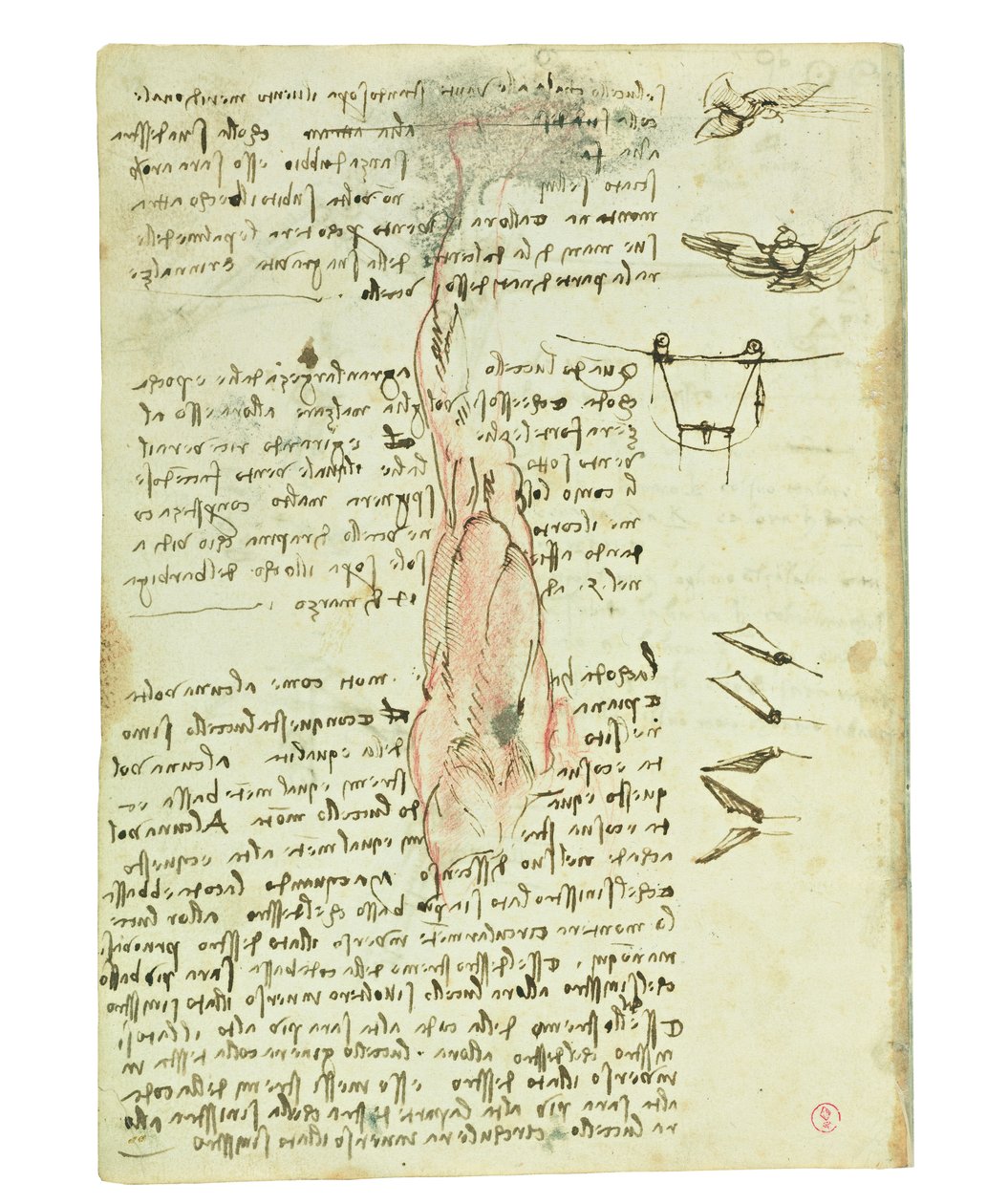 Codice sul volo degli uccelli, Folio 17 verso da Leonardo da Vinci