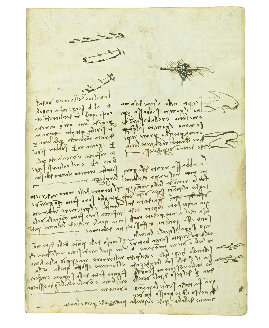 Codice sul volo degli uccelli, Folio 18 recto da Leonardo da Vinci