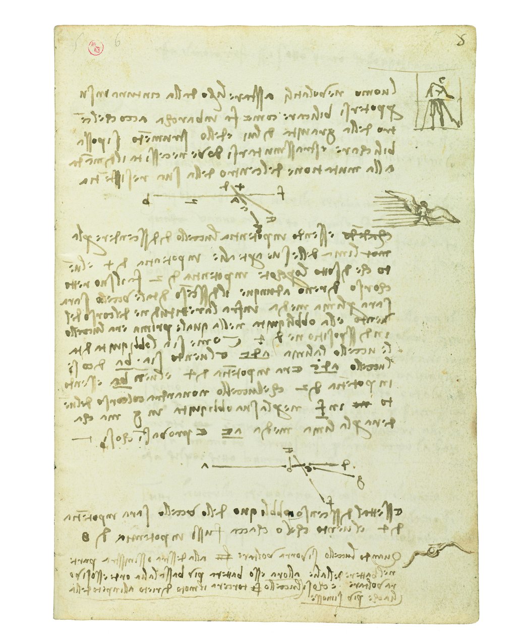 Codice sul volo degli uccelli, Folio 5 recto da Leonardo da Vinci