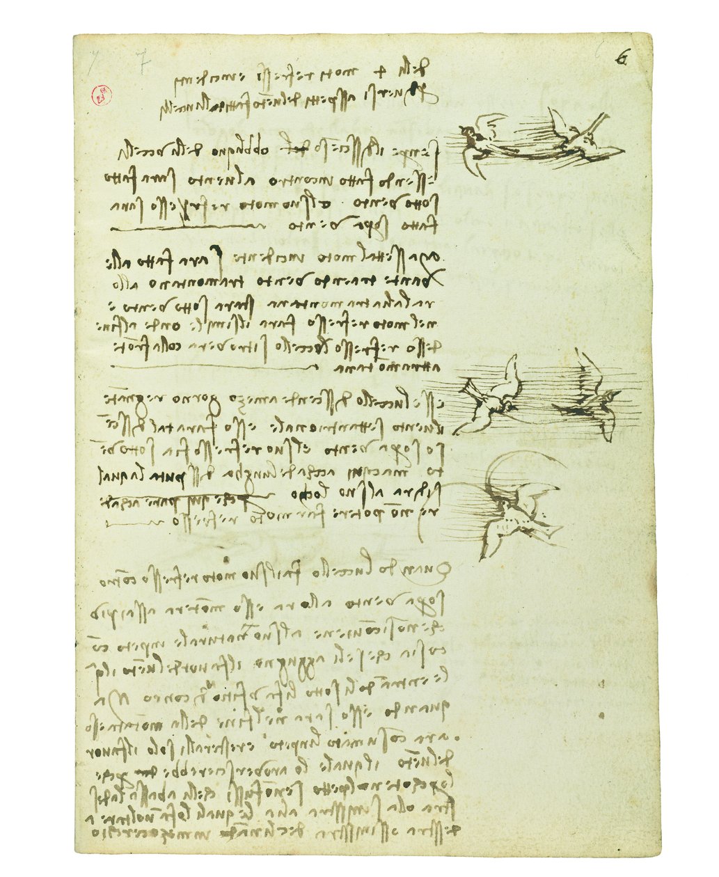 Codice sul volo degli uccelli, Folio 6 recto da Leonardo da Vinci