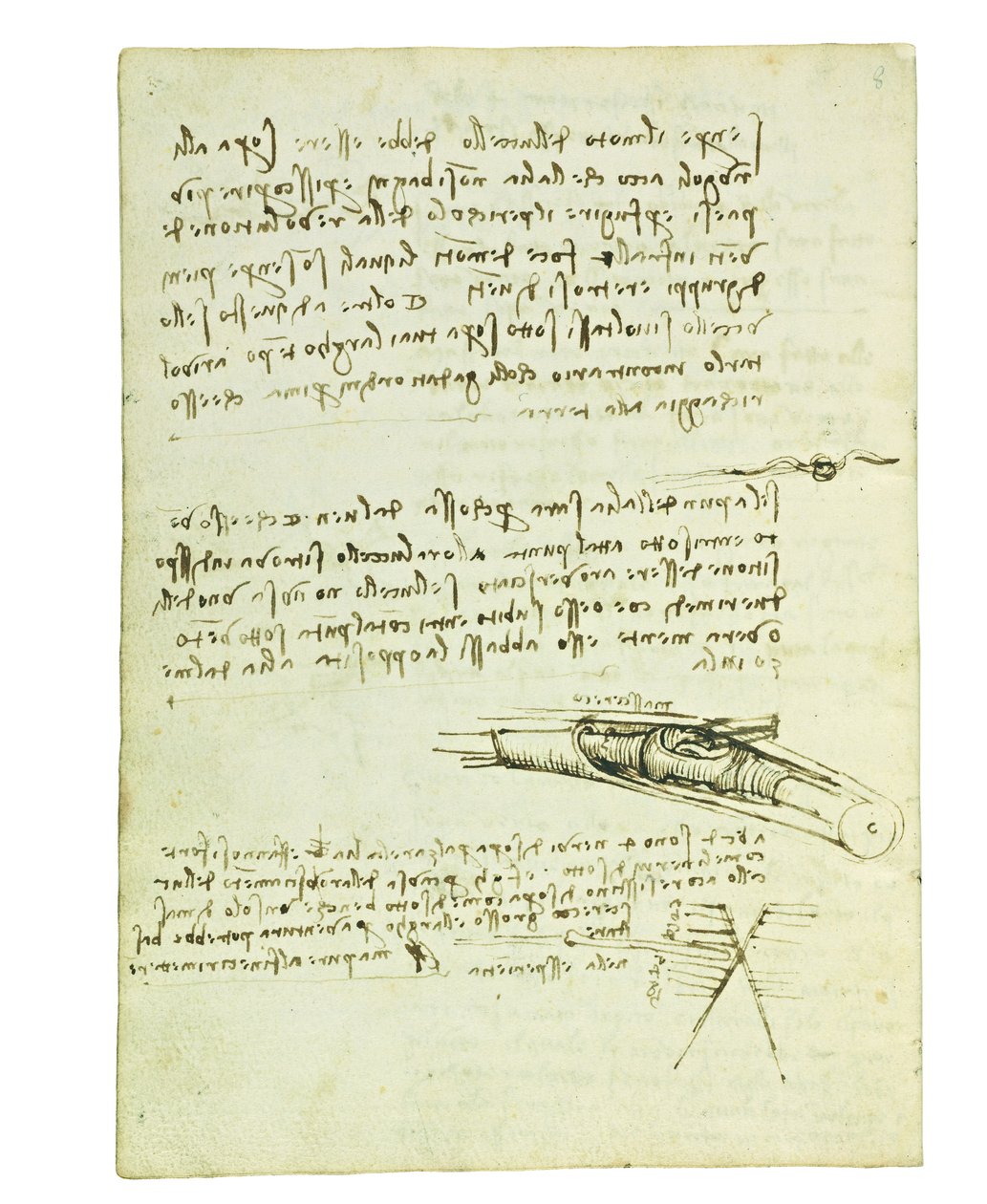 Codice sul volo degli uccelli, Folio 6 verso da Leonardo da Vinci