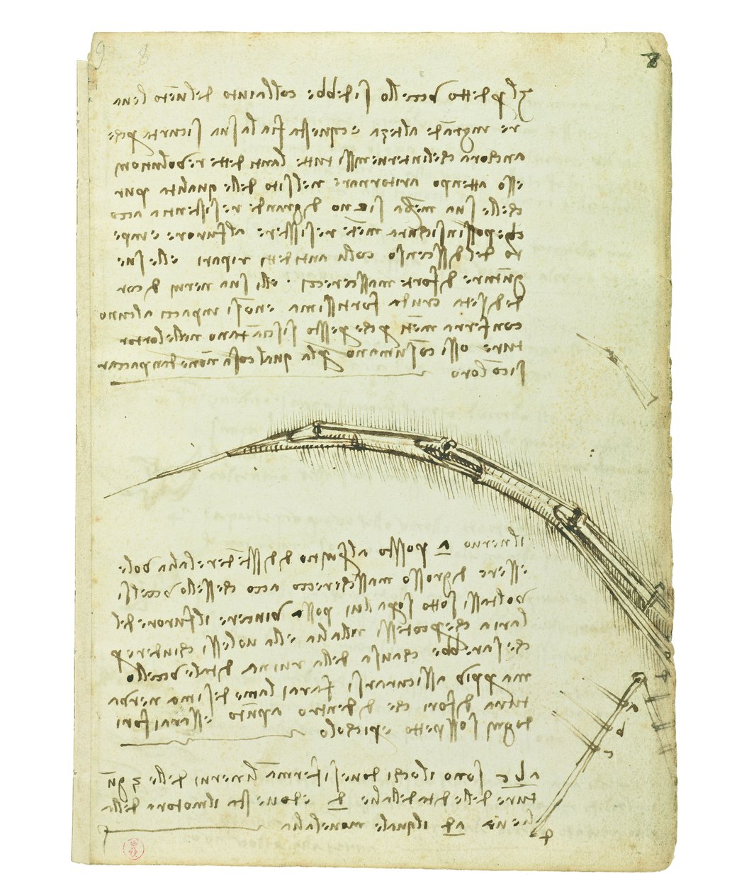 Codice sul volo degli uccelli, Folio 7 recto da Leonardo da Vinci