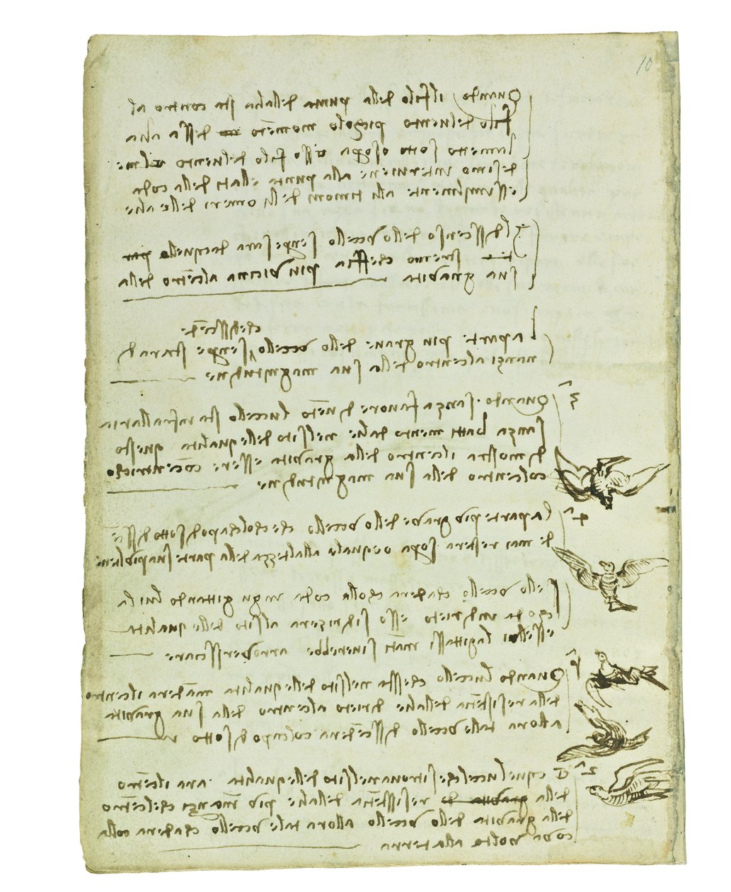 Codice sul volo degli uccelli, Folio 7 verso da Leonardo da Vinci