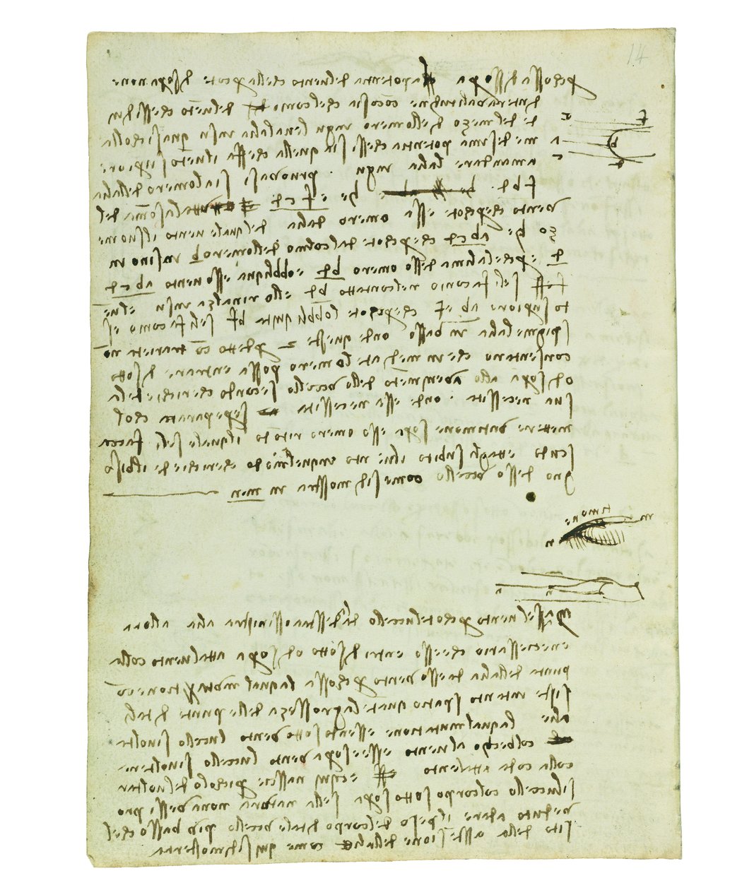 Codice sul volo degli uccelli, Folio 9 verso da Leonardo da Vinci