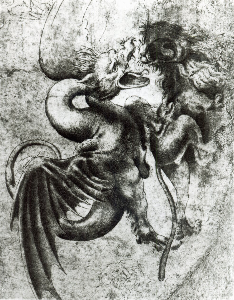 Combattimento tra un drago e un leone da Leonardo da Vinci