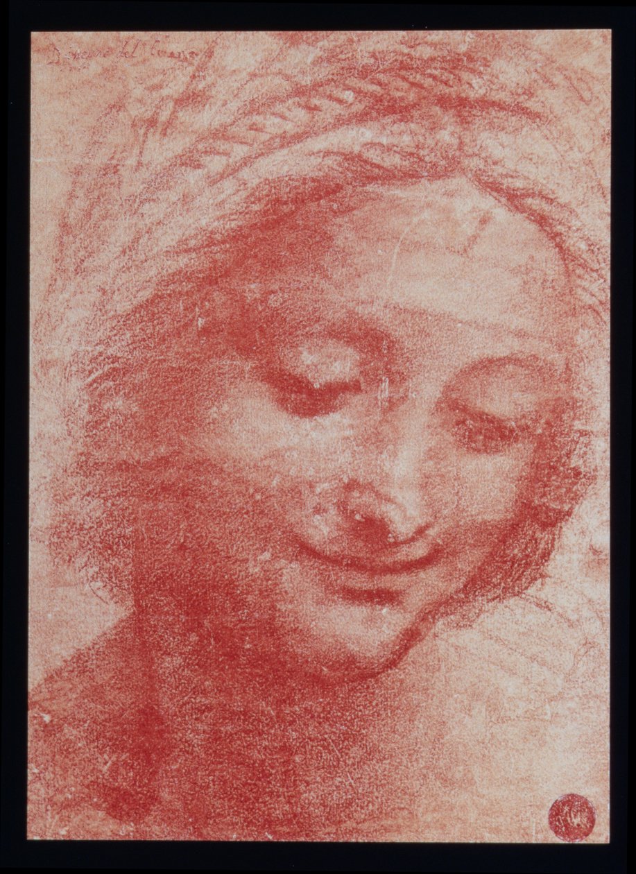 Testa di una donna da Leonardo da Vinci