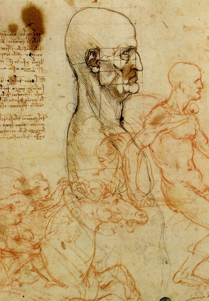 Studio della Testa di un Uomo da Leonardo da Vinci