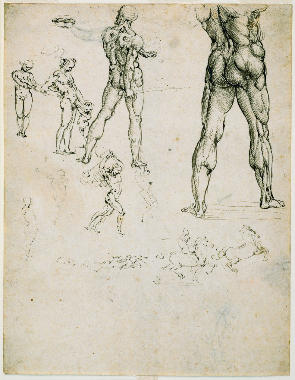 Nudi, per la "Battaglia di Anghiari" e altri studi di figure, c. 1505 da Leonardo da Vinci