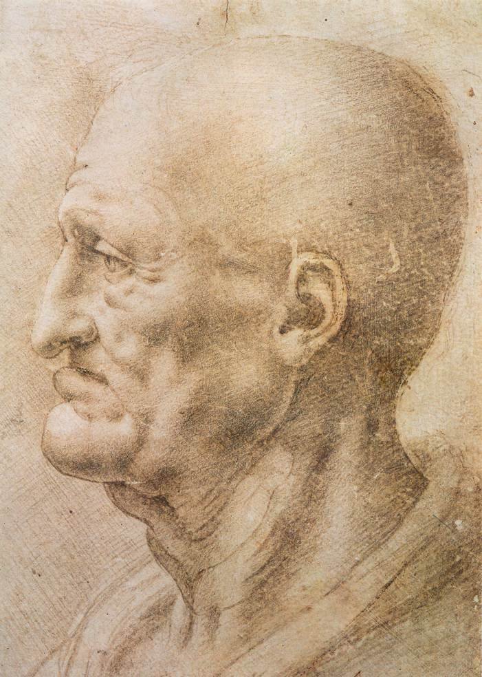Profilo di un vecchio da Leonardo da Vinci