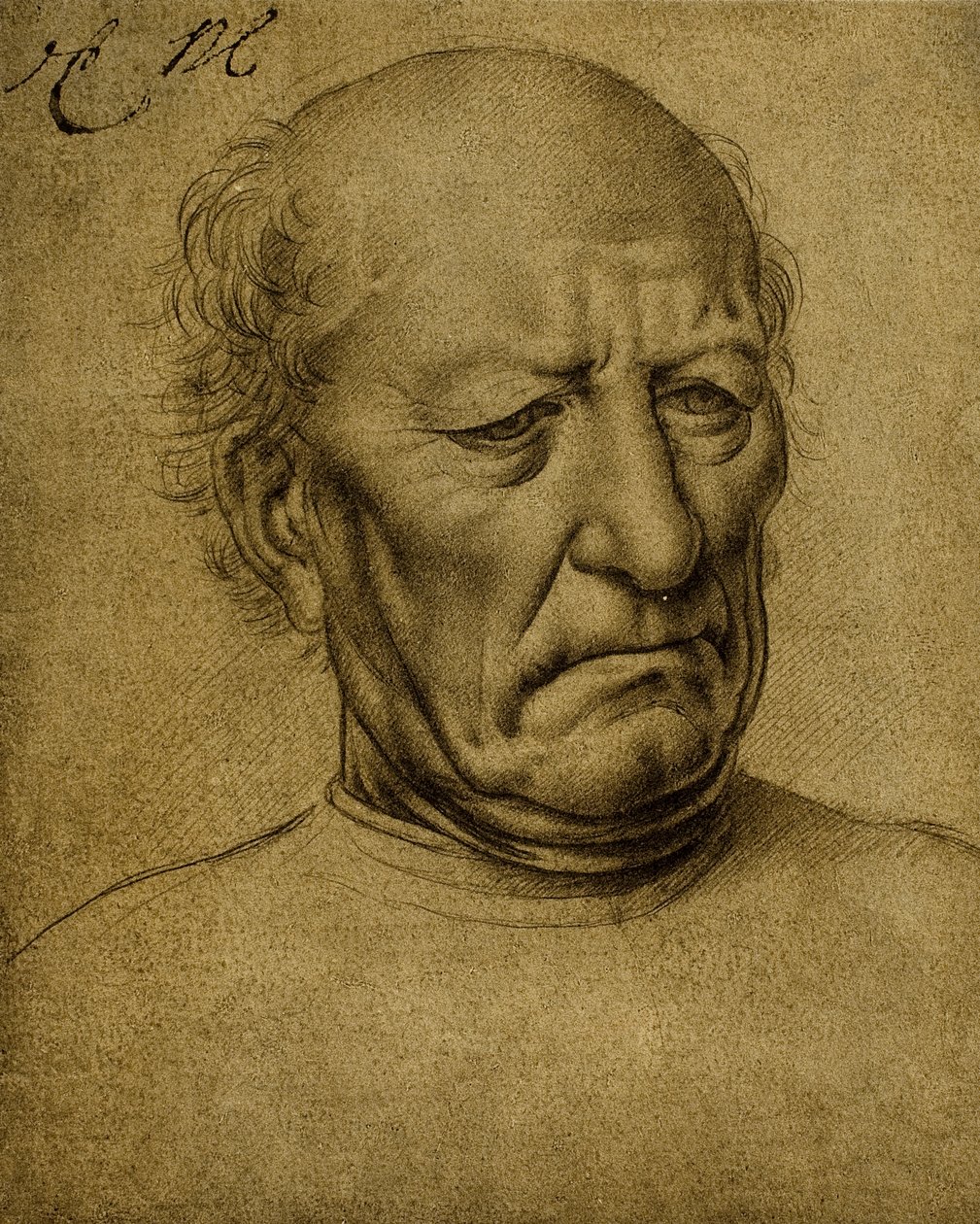 Ritratto senile maschile | Leonardo da Vinci