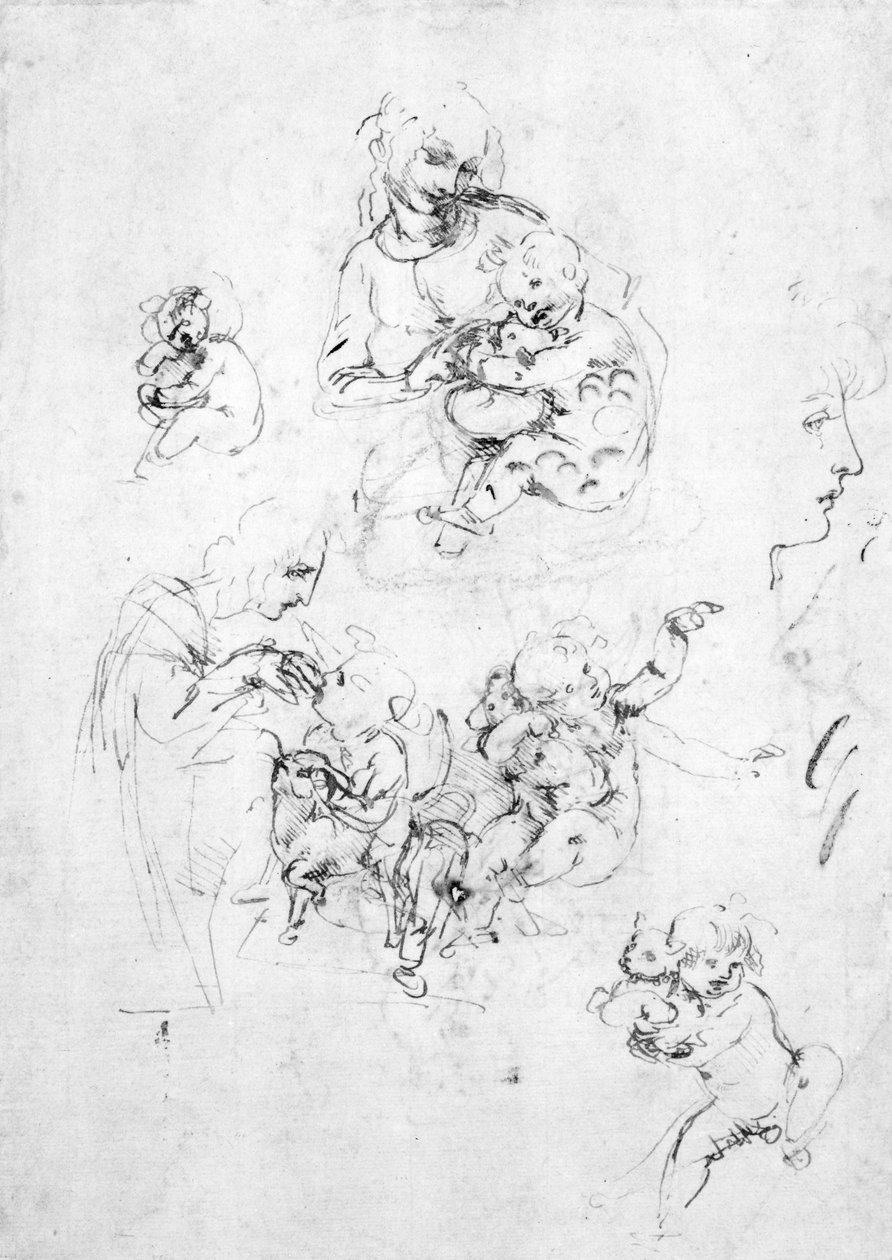 Studi per una Madonna con un gatto, c.1478-80 da Leonardo da Vinci
