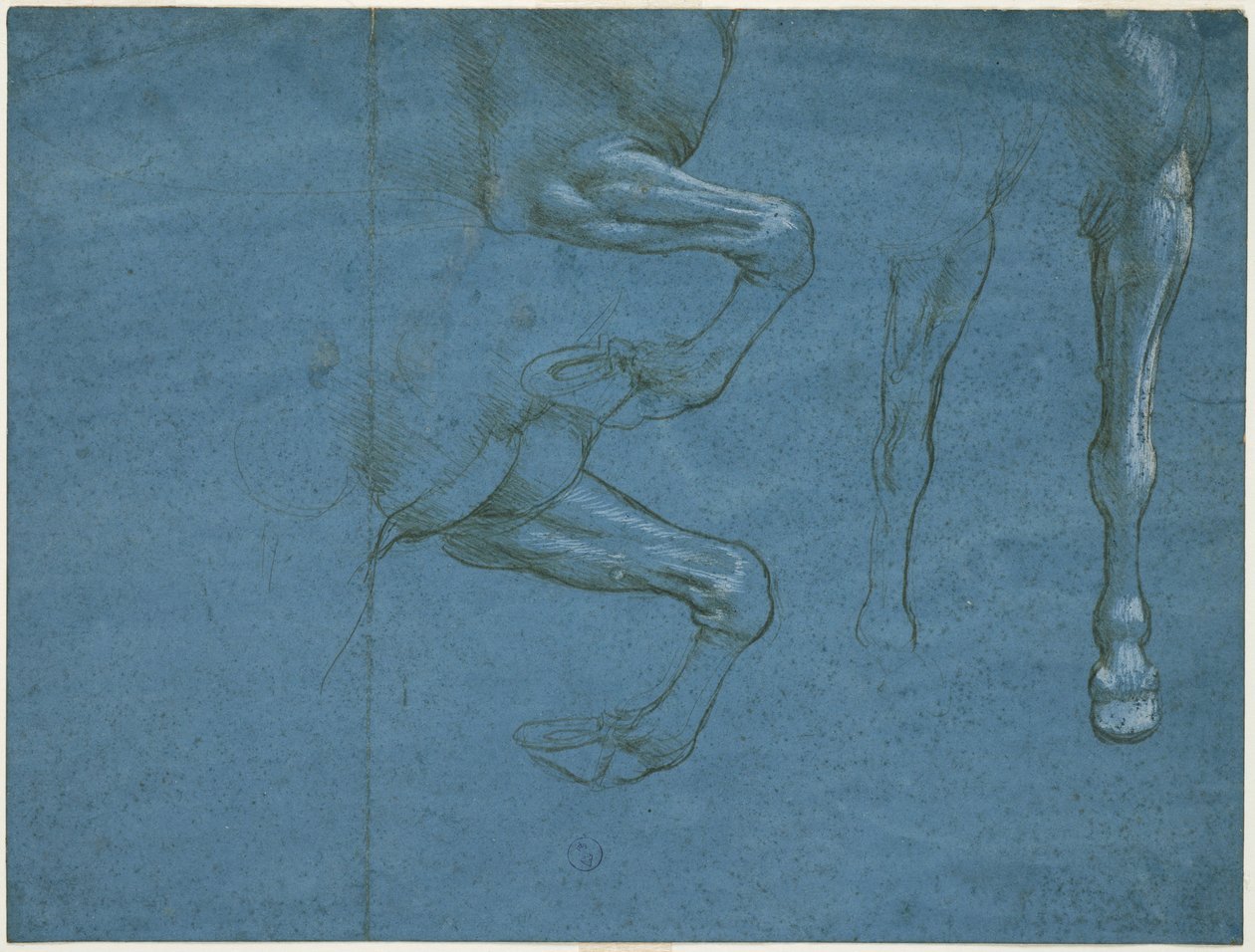 Studi degli arti anteriori del cavallo, c. 1490 da Leonardo da Vinci