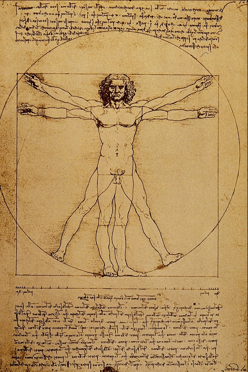 Studio del corpo umano da Leonardo da Vinci