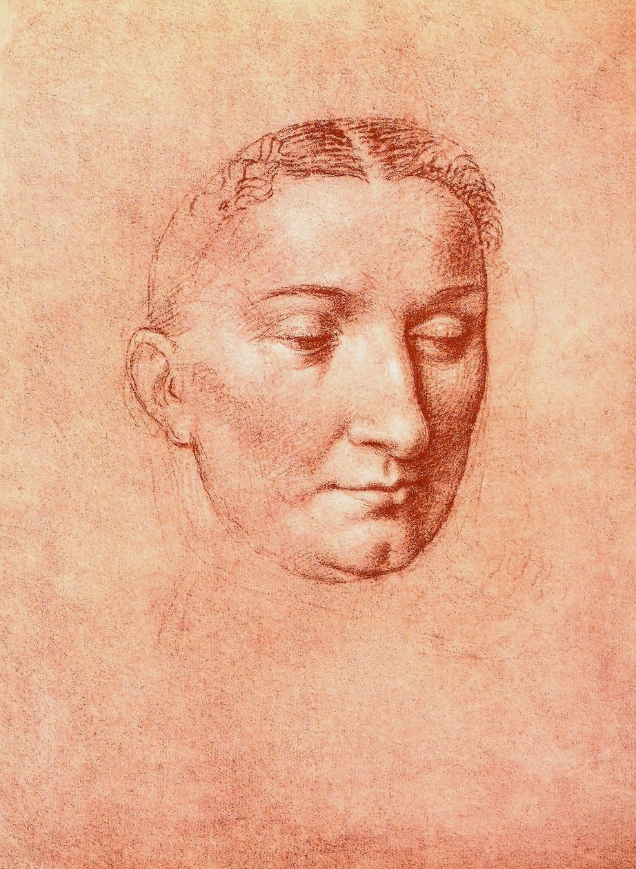 Studio per la testa di un santo, disegno di Leonardo da Vinci. Gallerie dell
