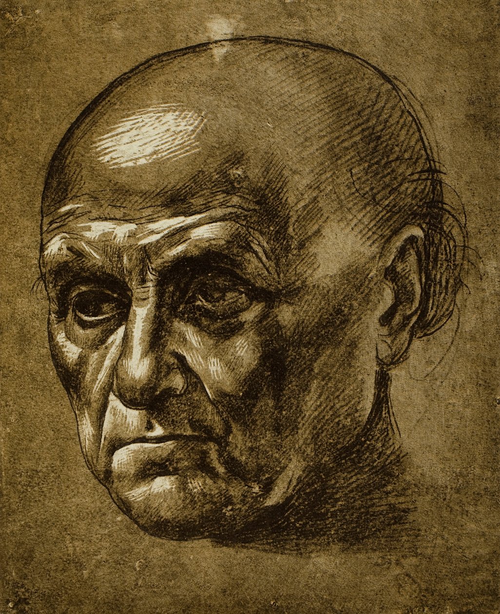 Studio di un volto maschile da Leonardo da Vinci