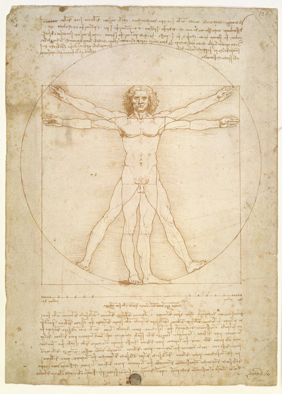 Le Proporzioni della figura umana (dopo Vitruvio), c.1492 da Leonardo da Vinci