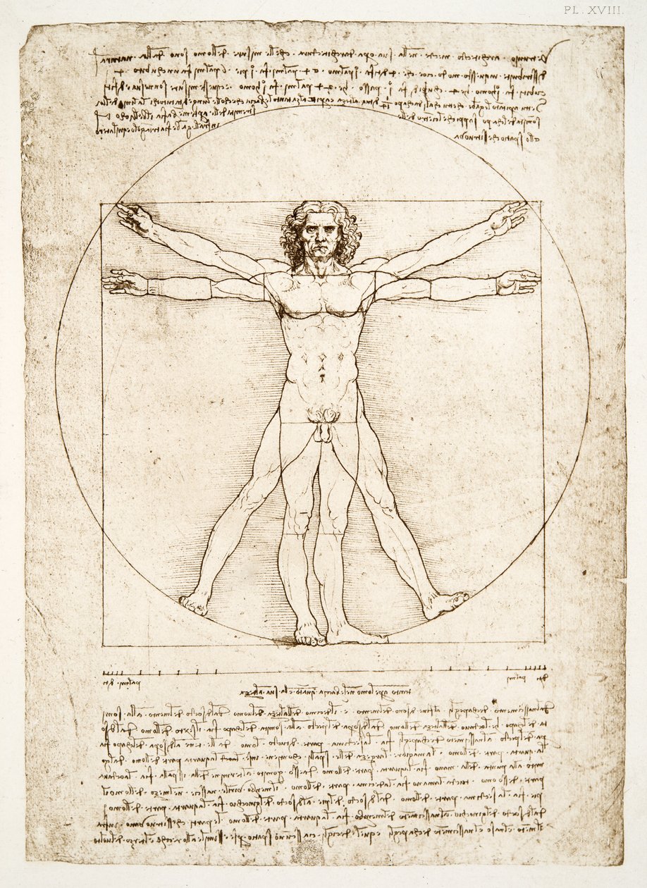 Le proporzioni della figura umana (dopo Vitruvio), c.1492 (facsimile) da Leonardo da Vinci