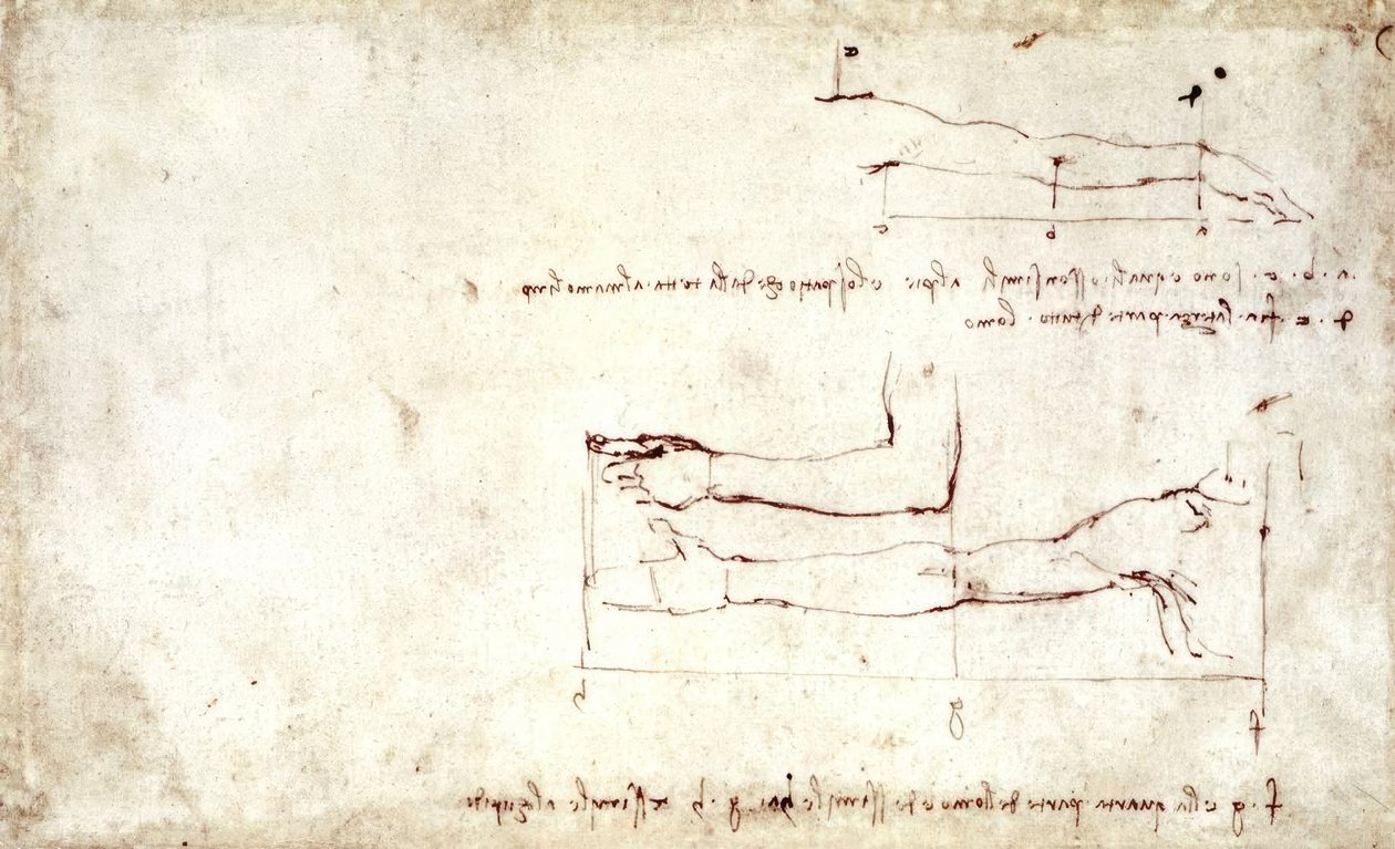 Braccio da Leonardo da Vinci