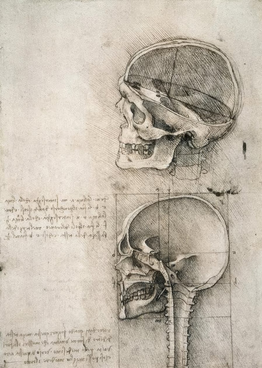 Senso comune da Leonardo da Vinci