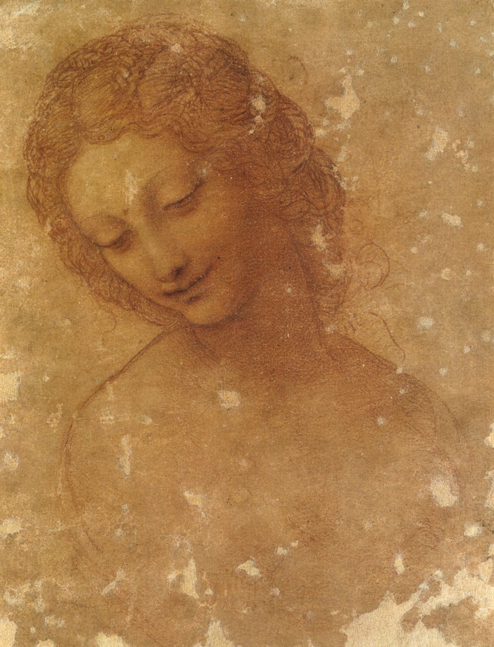 Testa di Leda, Castello Sforzesco da Leonardo da Vinci