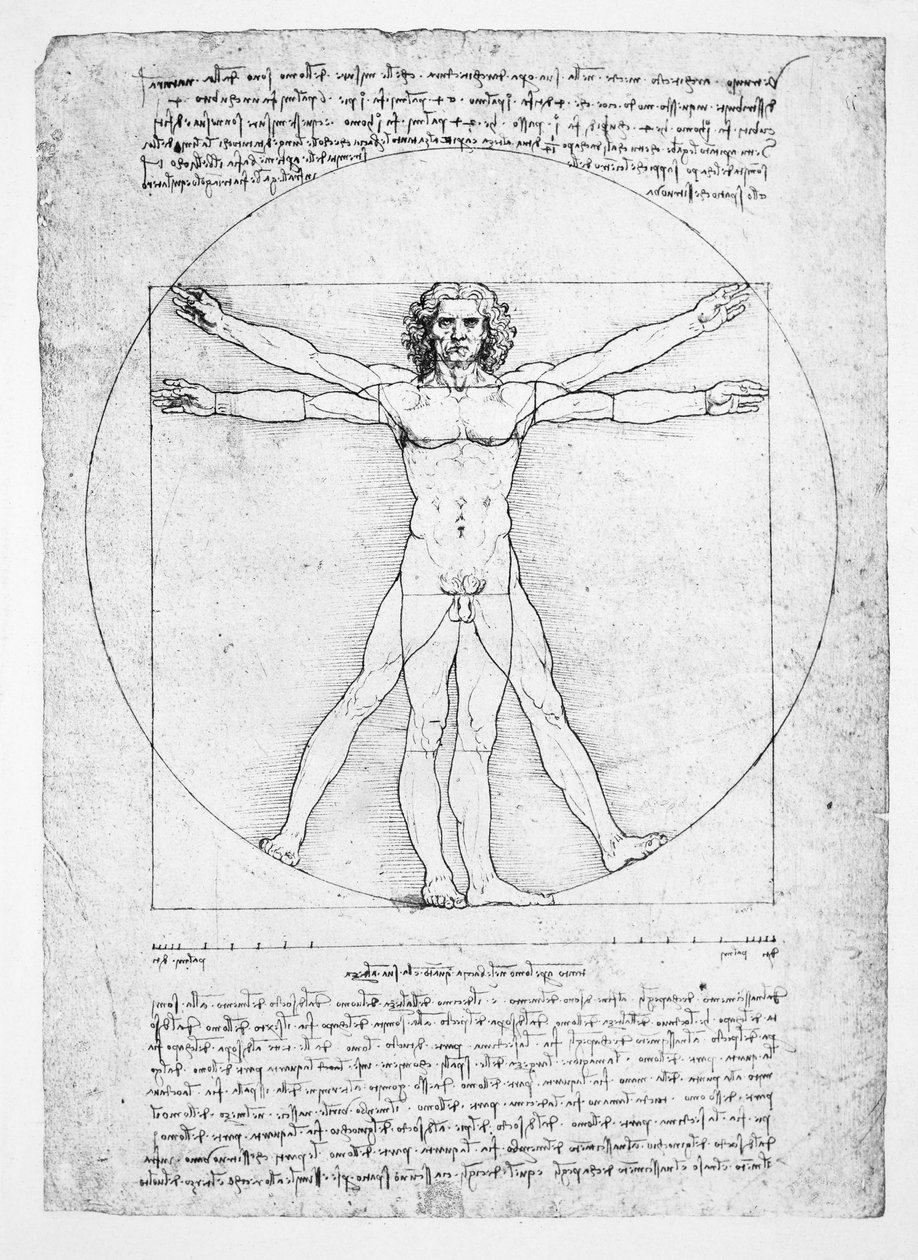 Le proporzioni della figura umana (dopo Vitruvio) da Leonardo da (after) Vinci