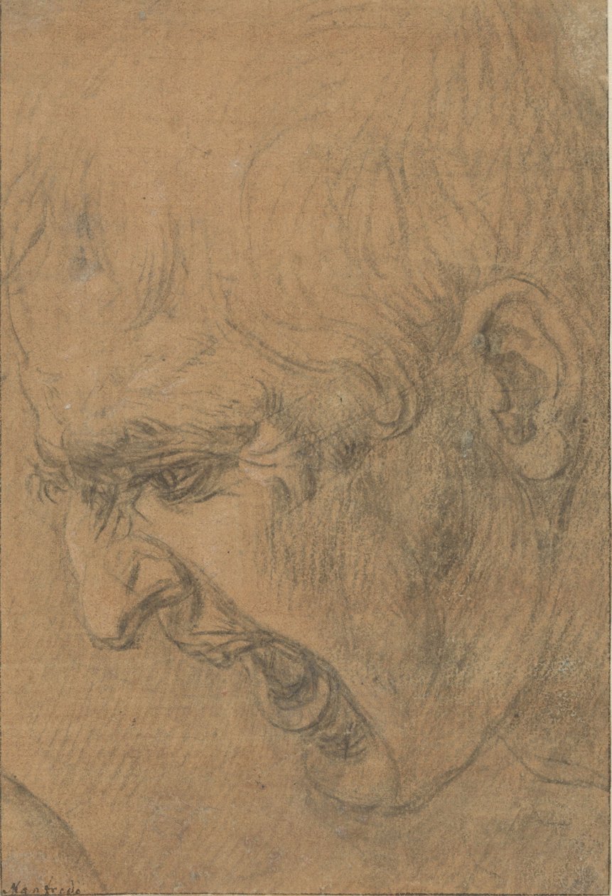 Testa di un uomo che urla da Leonardo da (follower of) Vinci