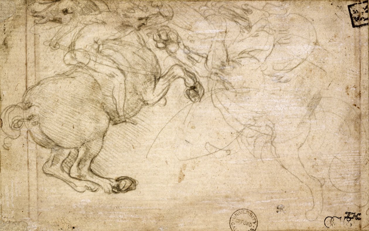 Un cavaliere in combattimento con un grifone, XVI secolo da Leonardo da Vinci