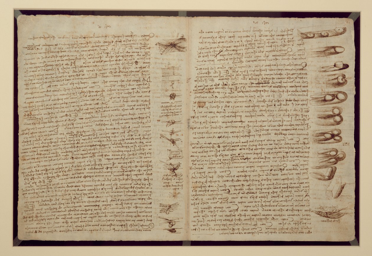 Una pagina dal Codice Leicester, 1508-12 da Leonardo da Vinci