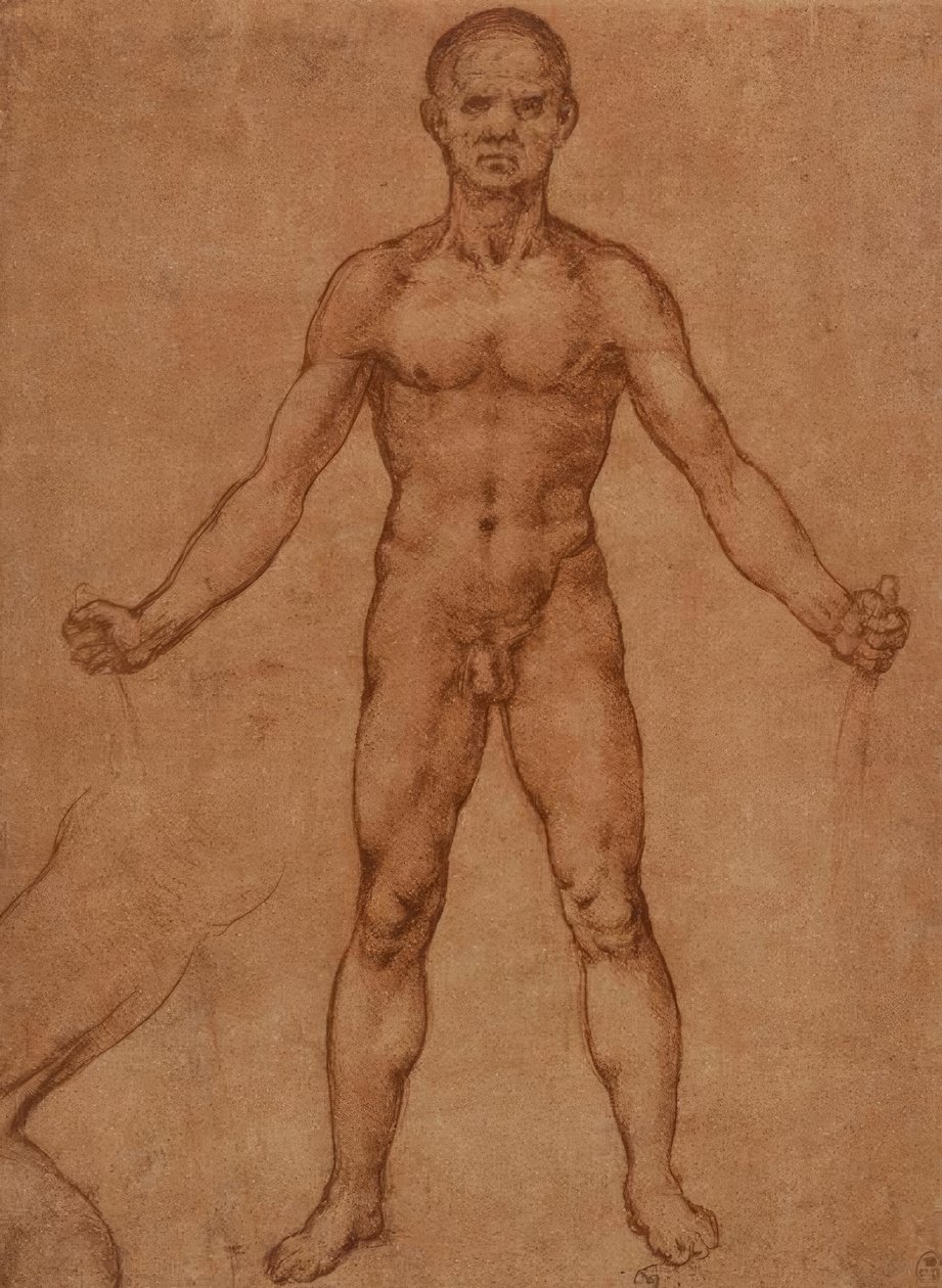 Studio di nudo di un uomo in piedi, frontale da Leonardo da Vinci