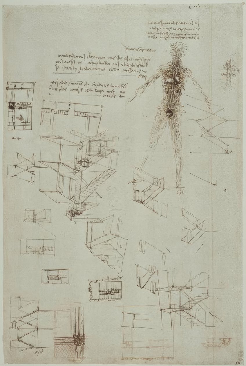 Studi anatomici da Leonardo da Vinci