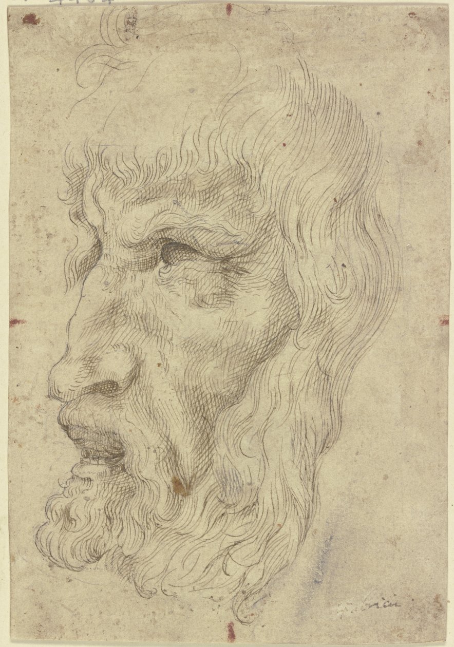 Maschere antiche a sinistra da Leonardo da Vinci