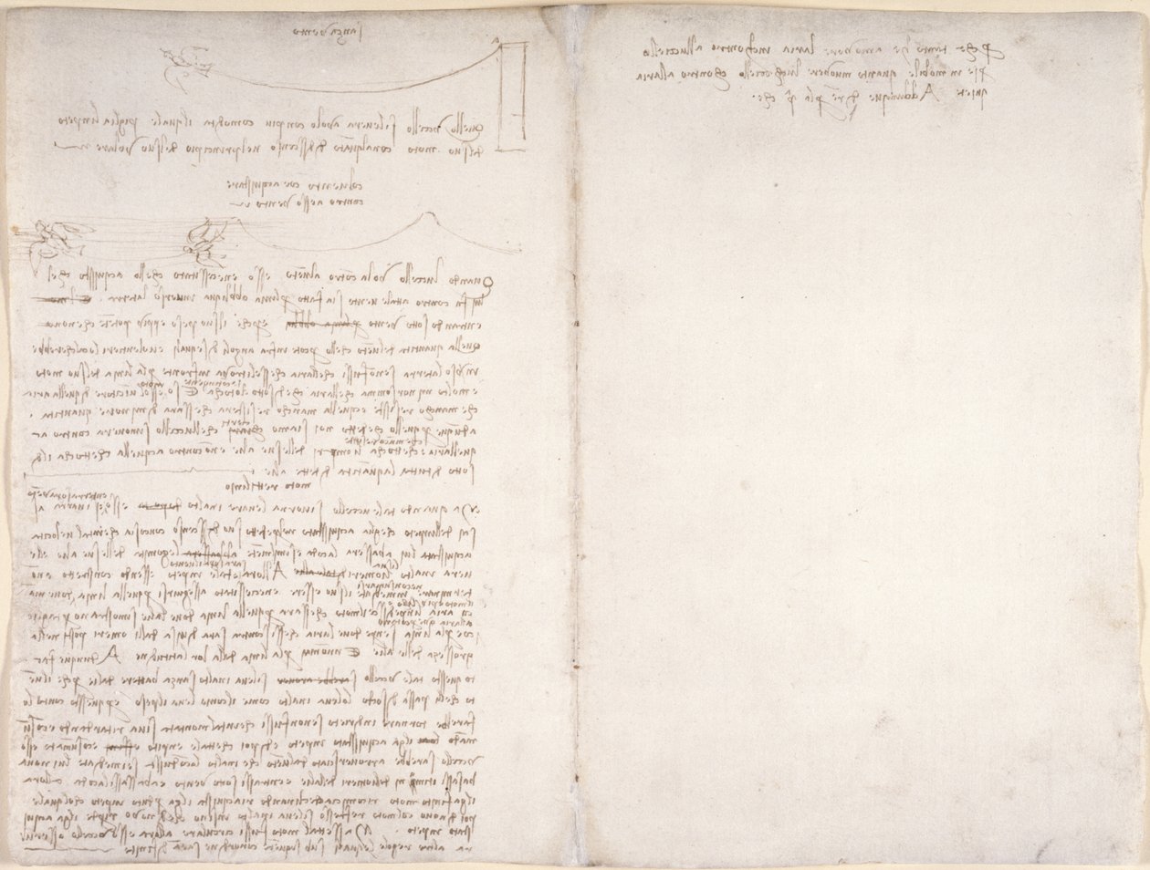 Arundel 263, f.166v, f.163 Note e diagrammi sul volo degli uccelli, dal 