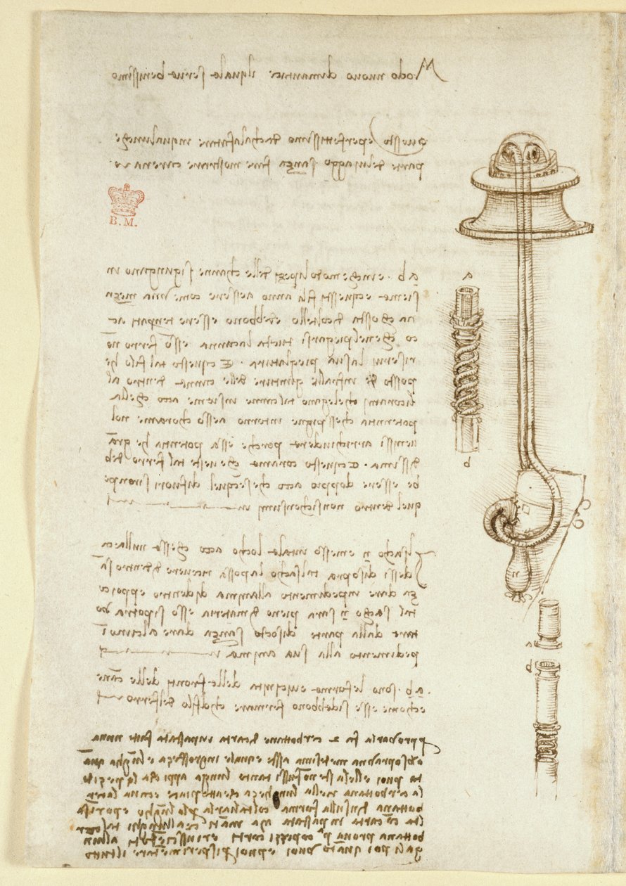 Note e schizzi che illustrano lo studio di Leonardo sull