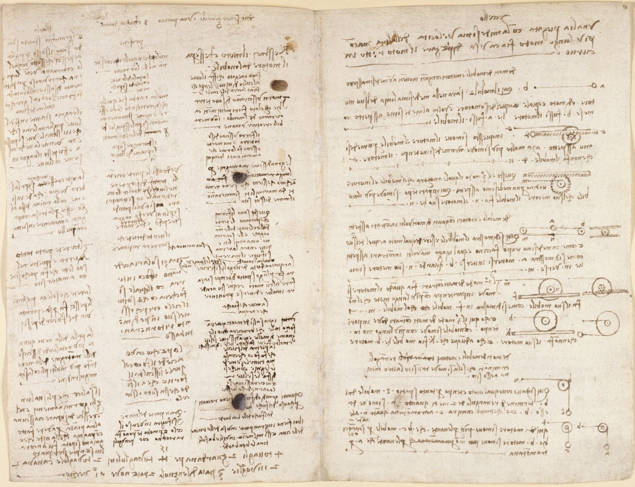 Testi brevi delle profezie di Leonardo (