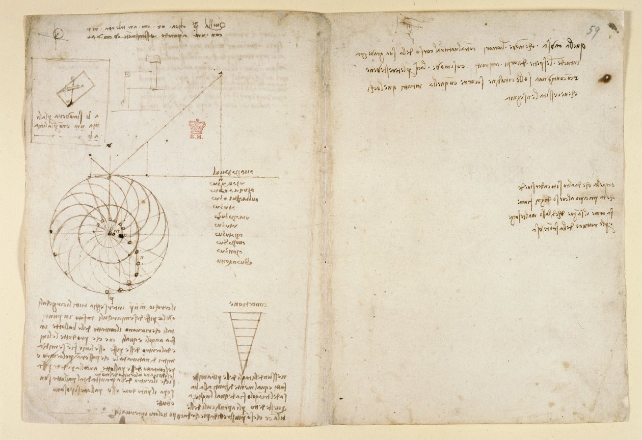 Arundel 263, f.44v, f.59 Schizzo di un occhio e di un naso di un volto di profilo; note sull