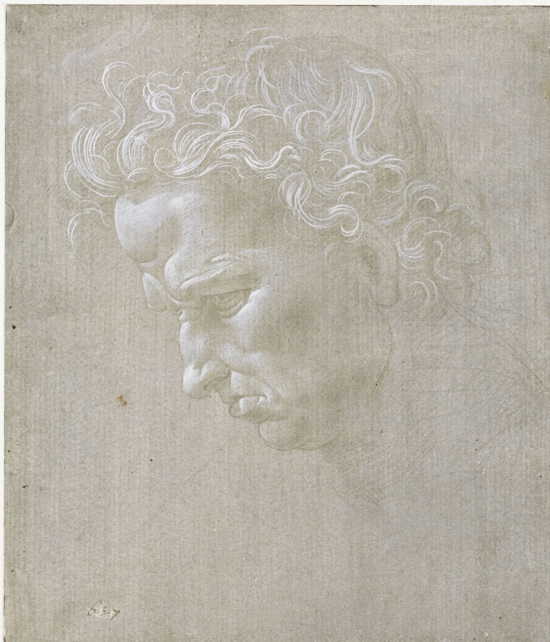 Profilo del volto di un uomo da Leonardo da Vinci