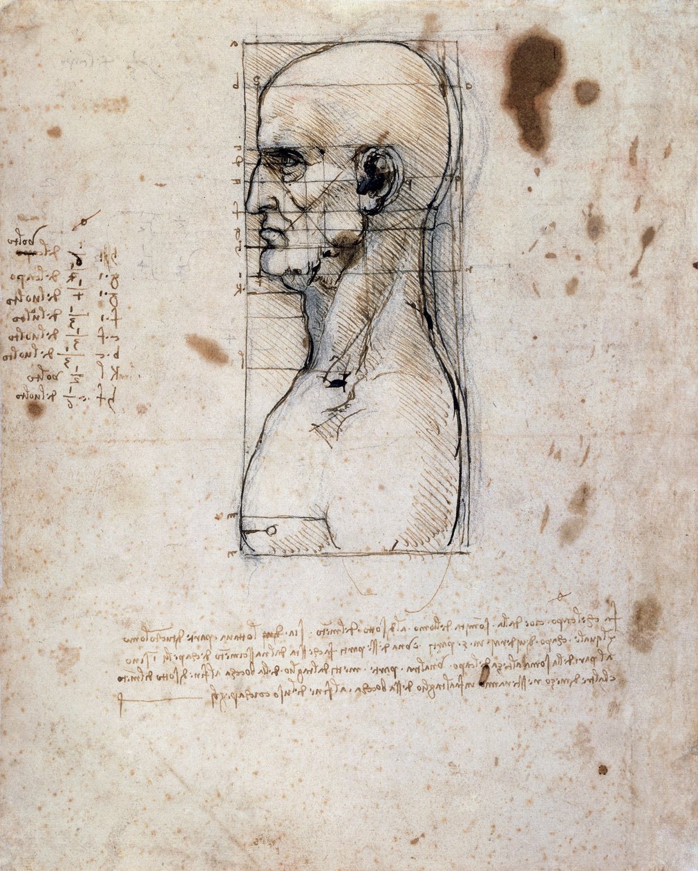 Busto di un uomo di profilo con misurazioni e note da Leonardo da Vinci