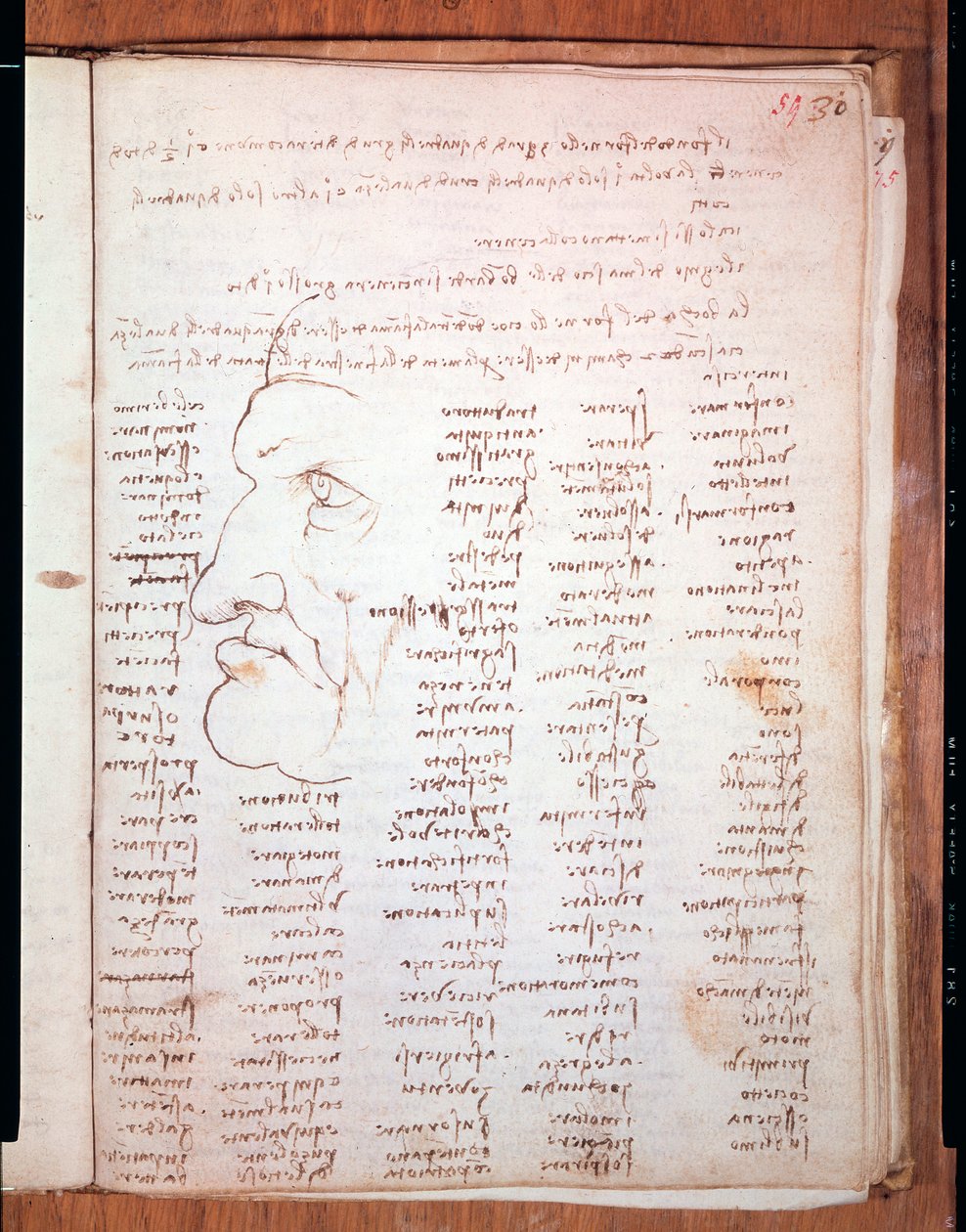 Codice Trivulziano di Leonardo da Vinci (1452 - 1519) - Biblioteca Trivulziana, Milano da Leonardo da Vinci