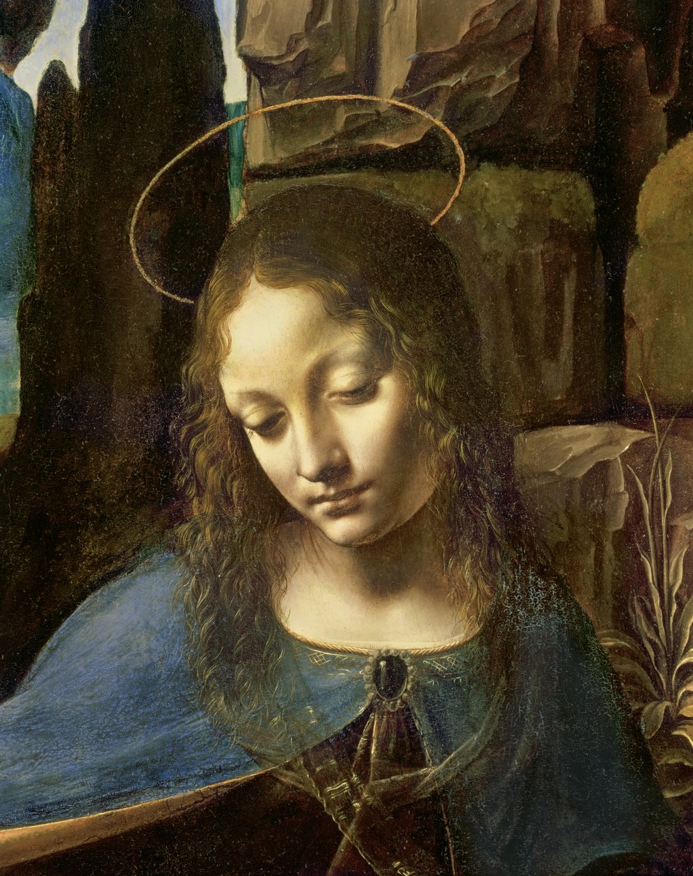 Dettaglio della testa della Vergine, da La Vergine delle Rocce (La Vergine con il piccolo San Giovanni che adora il Bambino Gesù accompagnato da un angelo), c.1508 da Leonardo da Vinci