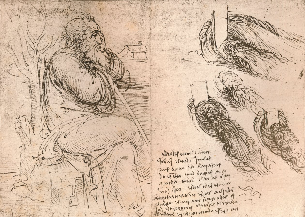 Disegno che illustra la rappresentazione dei capelli che cadono in riccioli, c1472-c1519 1883 da Leonardo da Vinci