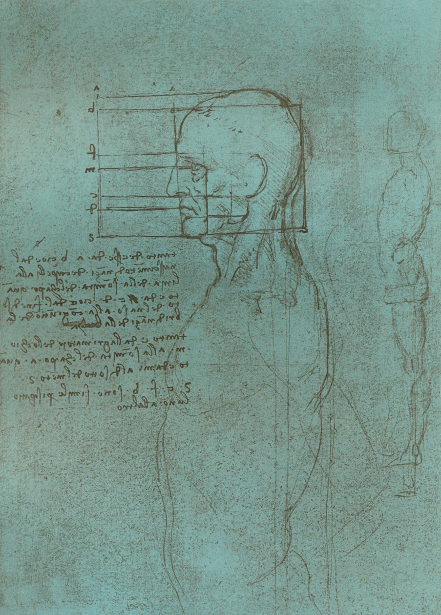 Disegno che illustra la teoria delle proporzioni della figura umana, c1472-c1519, 1883 da Leonardo da Vinci