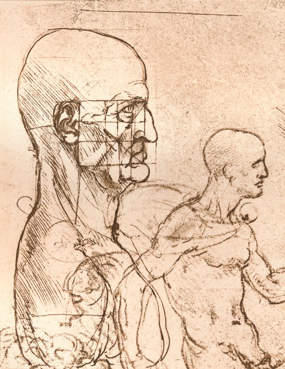 Disegno che illustra la teoria delle proporzioni della figura umana, c1472-c1519, 1883 da Leonardo da Vinci