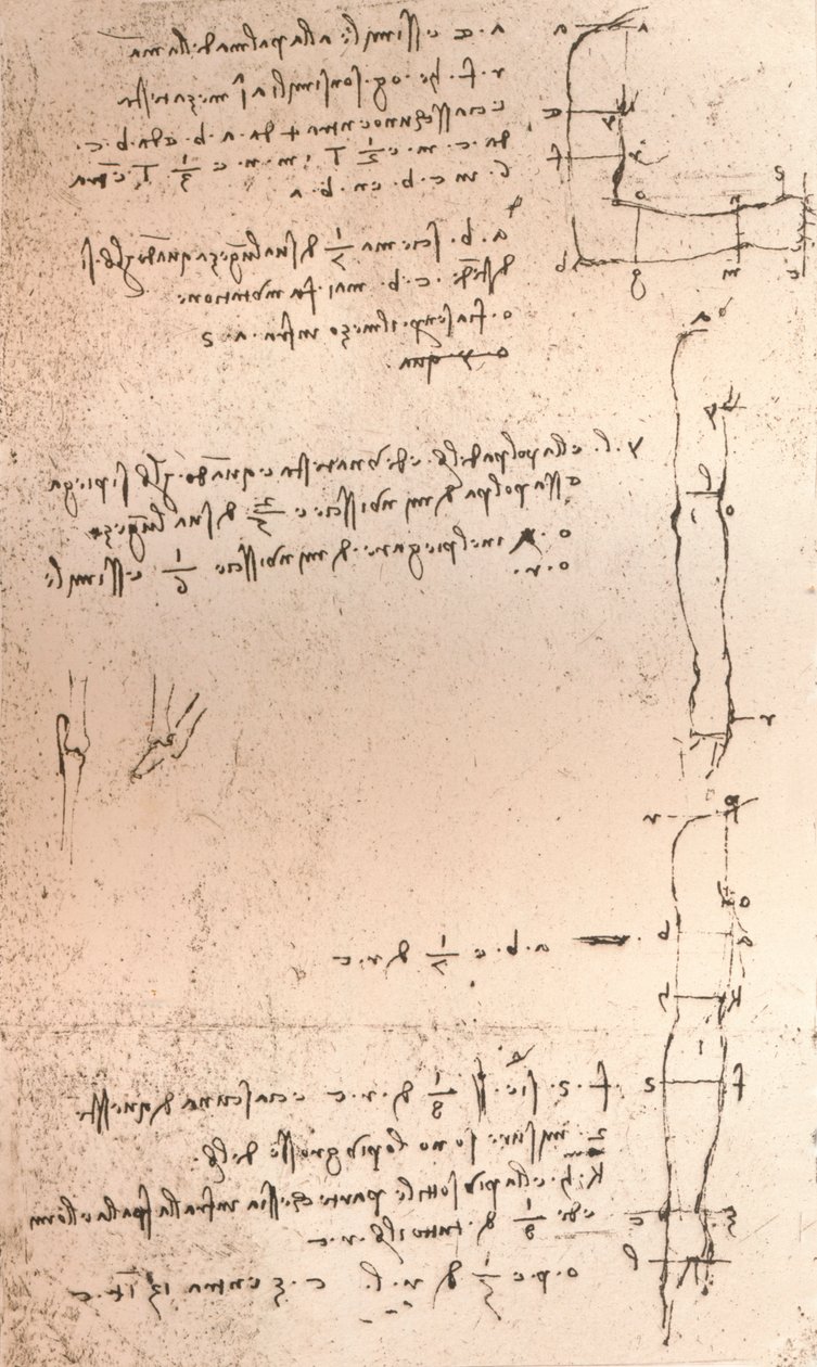 Disegno che illustra la teoria delle proporzioni della figura umana da Leonardo da Vinci