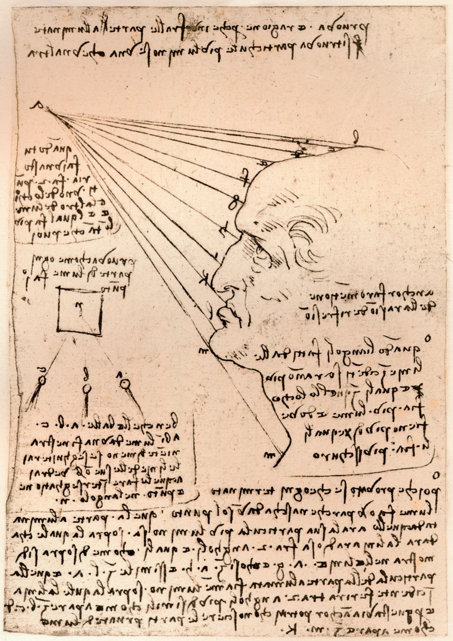Disegno di una testa maschile, che illustra la pratica della pittura da Leonardo da Vinci