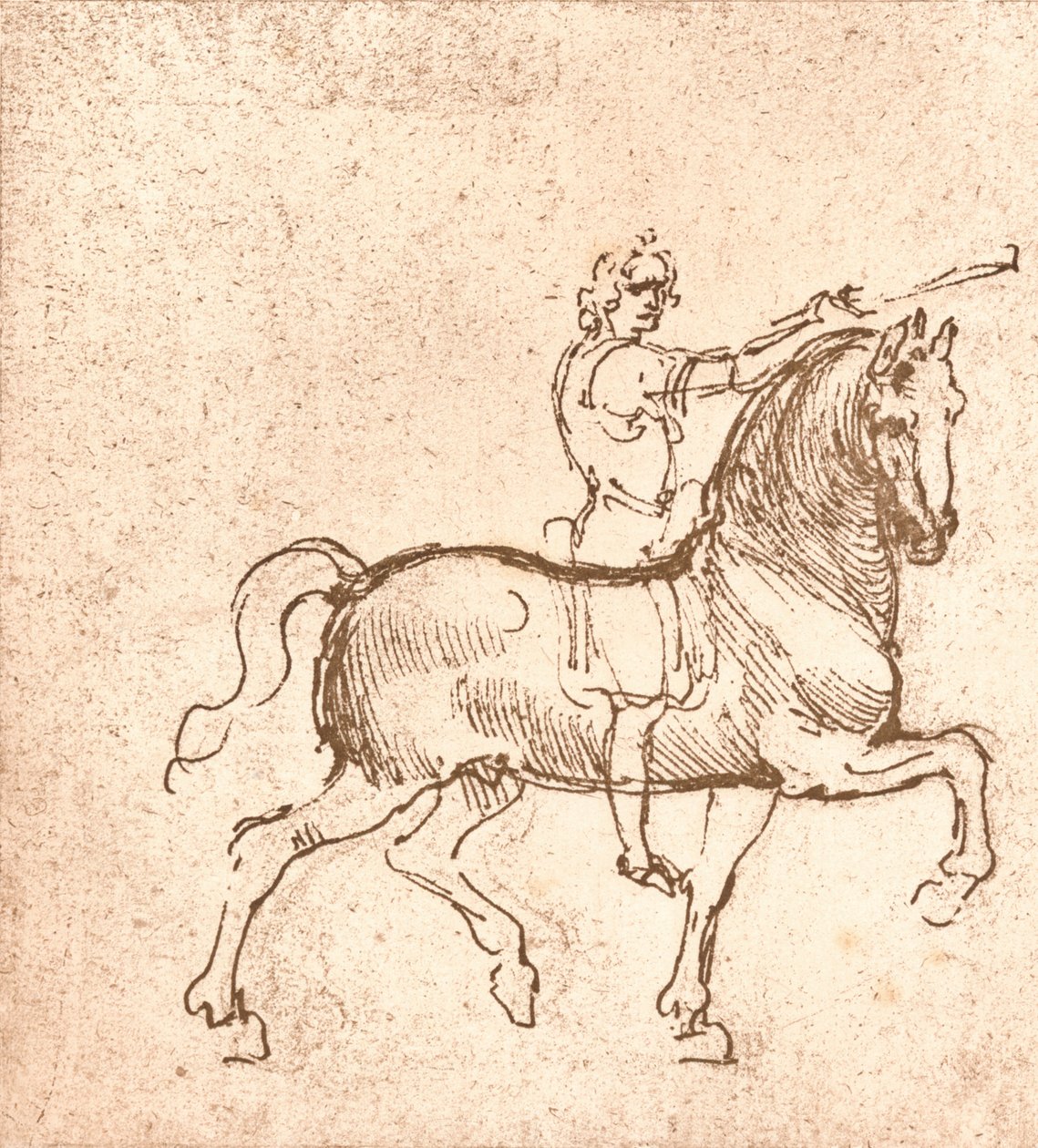 Disegno di un cavallo al passo, c1472-c1519 1883 da Leonardo da Vinci